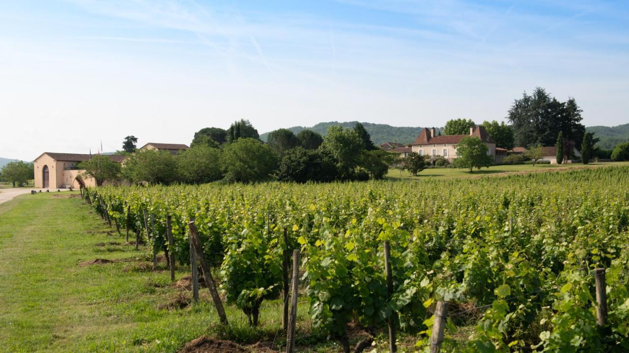 Chateau Gautoul Puy-l'Eveque ภายนอก รูปภาพ